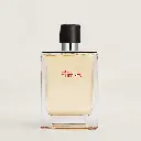 Terre d'Hermes Eau de Toilette 100ml